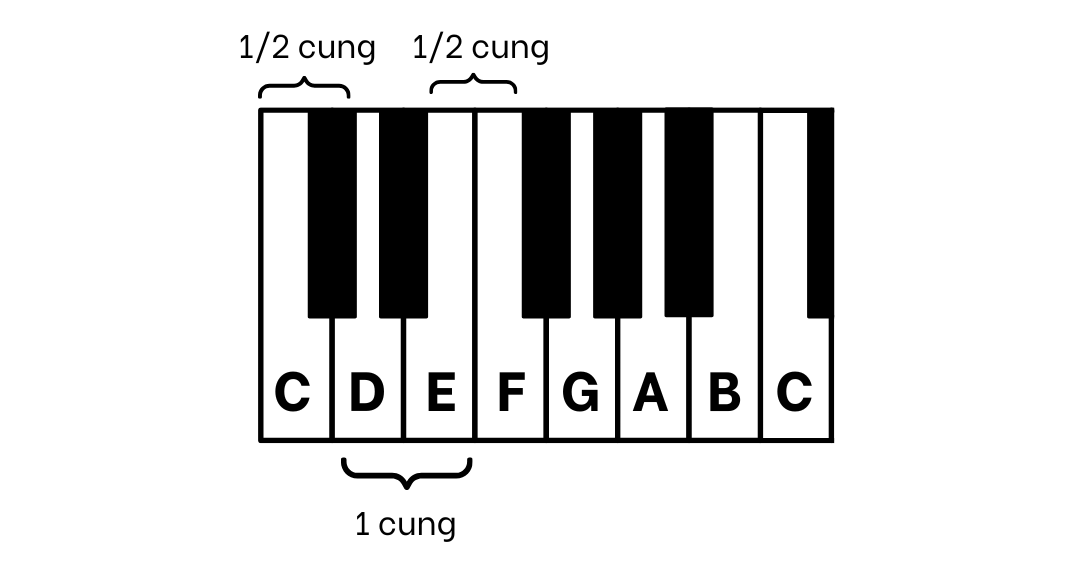 cung và nửa cung trên piano